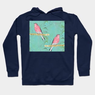 Chaffinches on branches Hoodie